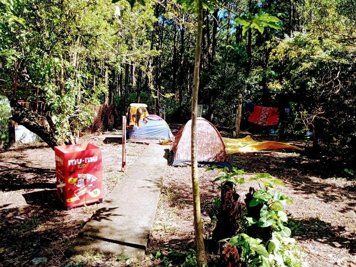 캠프장 Camping Novas Palmeiras Florianópolis 브라질
