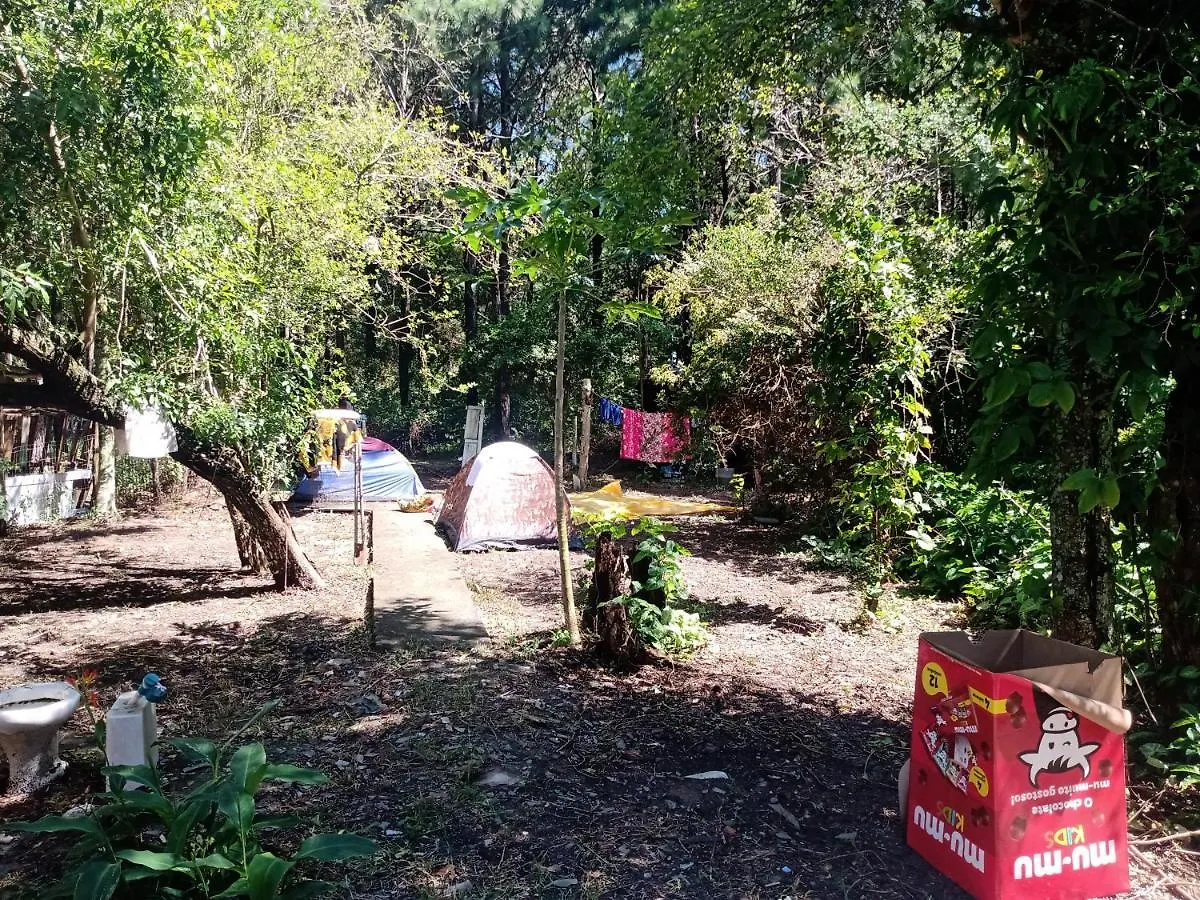 Camping Novas Palmeiras Florianopolis Campsite